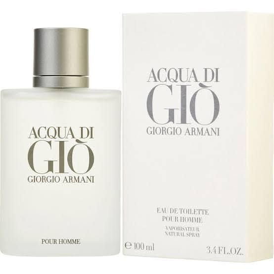 Giorgio Armani Acqua Di Gio 100ml (Men)